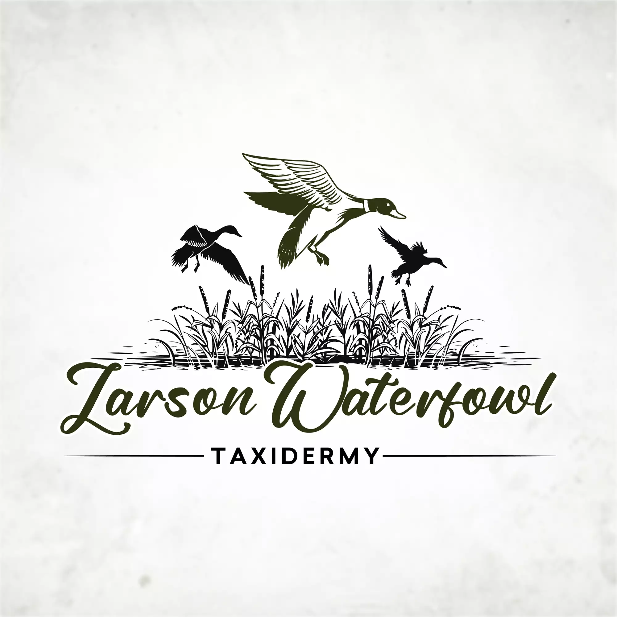 Classic vintage logo for taxidermy shop specializing in ducks and geese